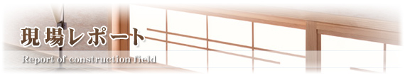 現場レポート
